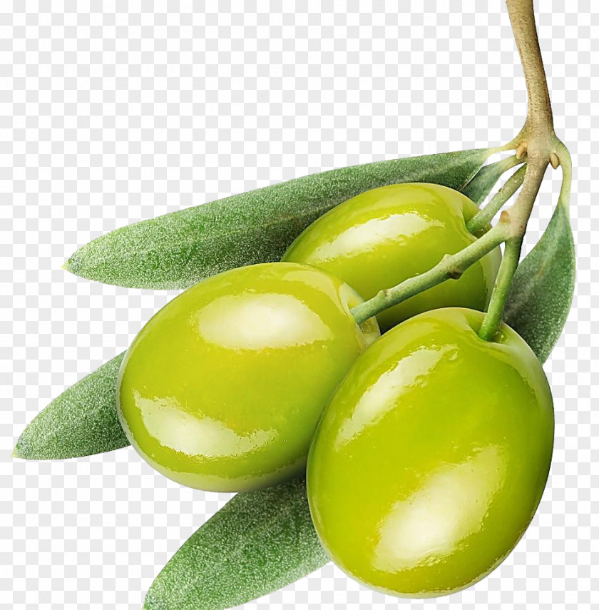 Creative Green Olives Olive Oil PNG