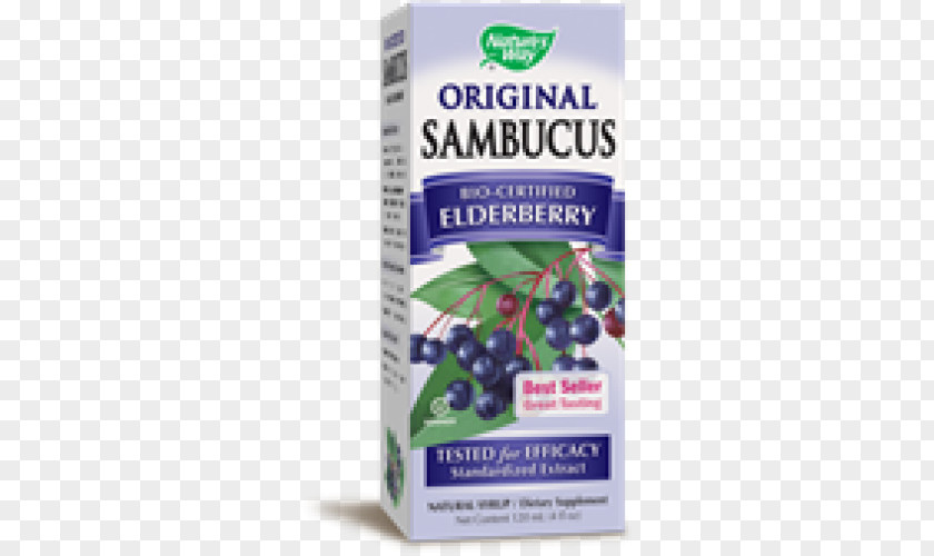 Elderberries Organic Food Elder Dietary Supplement Syrup Herb PNG