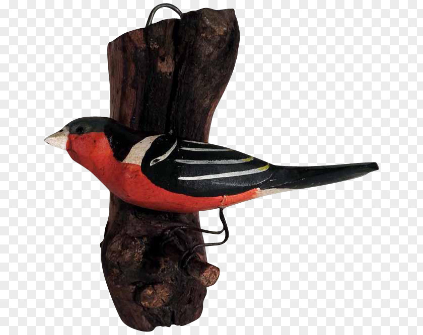 Hand-painted Birds Bird Beak PNG