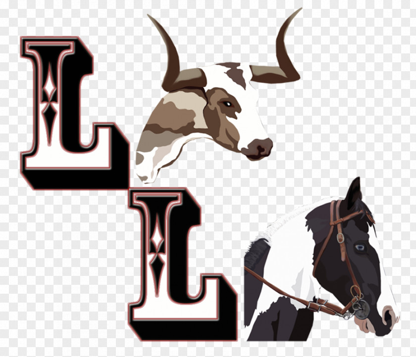 Horse Cattle Bucking Bull Clip Art PNG