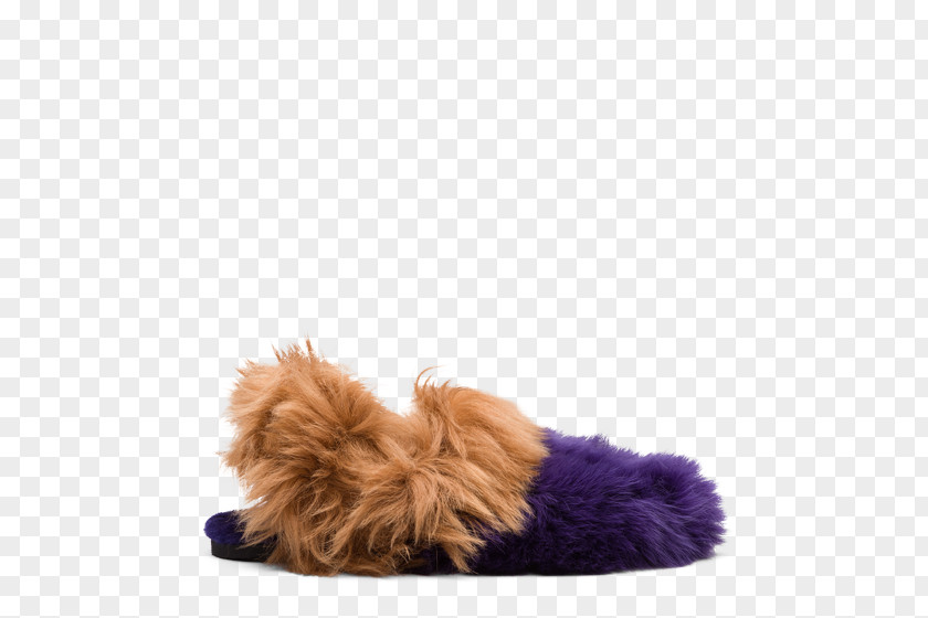 Puppy Dog Breed Slipper PNG