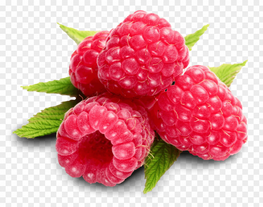 Red Raspberry Fruit Black Ketone PNG raspberry ketone, rasberry, fruits clipart PNG