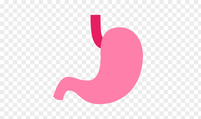 Stomach Computer Icons Digestion Gastrointestinal Tract Human Digestive System PNG tract digestive system, icon clipart PNG