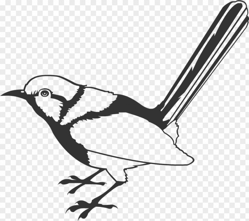 Bird Wren Stencil Clip Art PNG