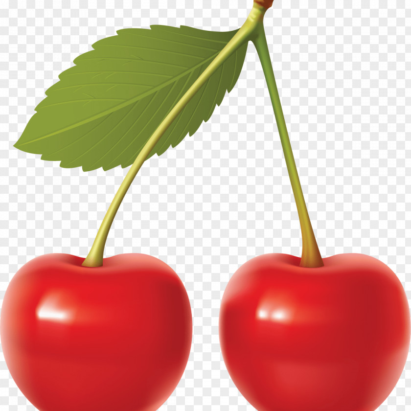 Cherry Fruit Clip Art PNG