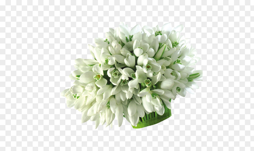 Creative Valentine's Day Floral Design Cut Flowers Flower Bouquet Artificial PNG