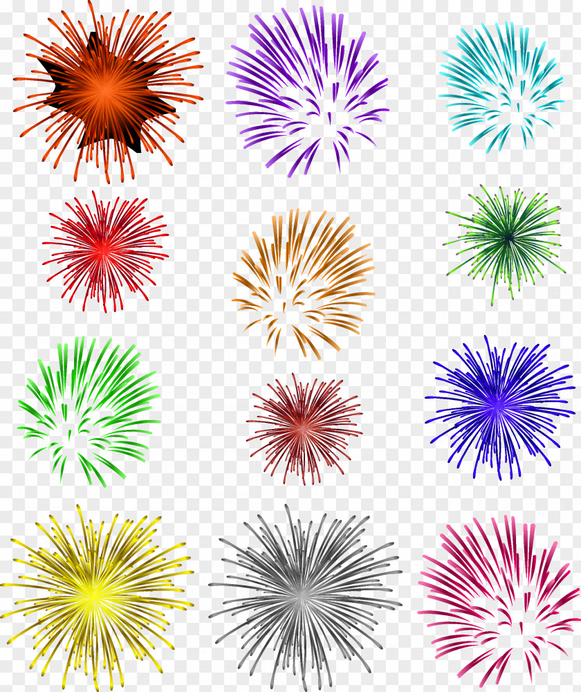 Fireworks LInternational Des Feux Loto-Quxe9bec Photography PNG