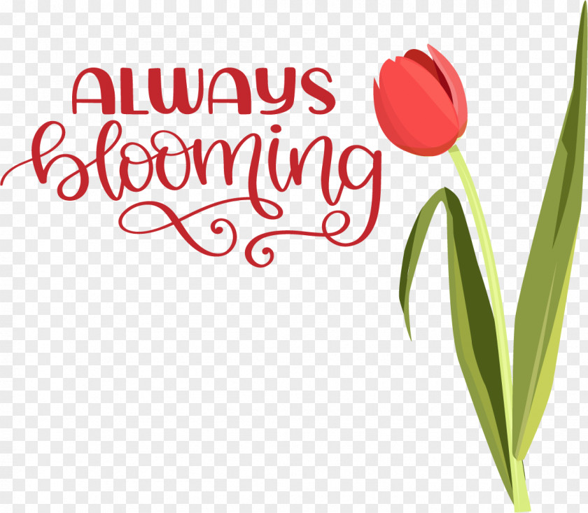 Floral Design PNG