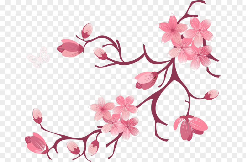 Fresh And Elegant Pink Flowers Bloom National Cherry Blossom Festival PNG