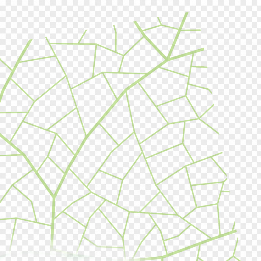 Line Art Point Angle Leaf PNG