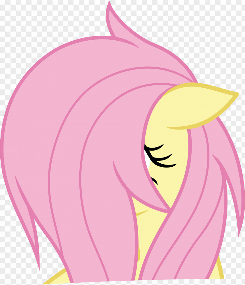 Fluttered My Little Pony Fluttershy Rainbow Dash PNG