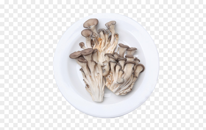 Fresh Mushroom Bokkeum Shiitake Ingredient PNG