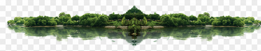 Island Oasis Fresh Material Download Computer File PNG