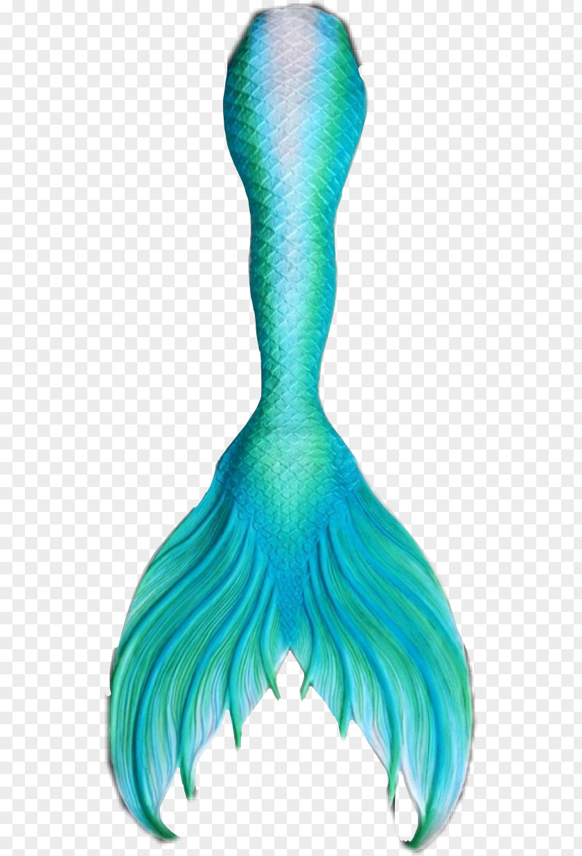 Mermaid Sticker Tail Clip Art PNG