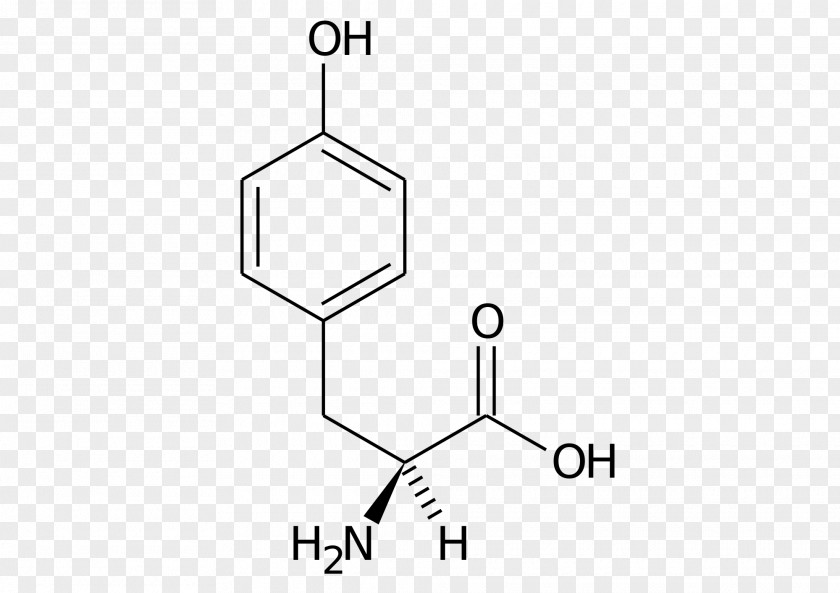 Protein Tyrosine Phosphatase Molecule CAS Registry Number Protocatechuic Acid Chemical Compound PNG