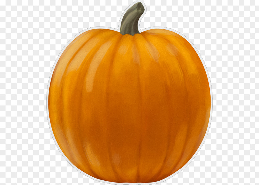 Pumpkin Jack-o'-lantern Gourd Calabaza Paperless Post PNG
