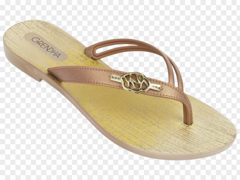 Acai Illustration Flip-flops Slipper Shoe Sandal Leather PNG