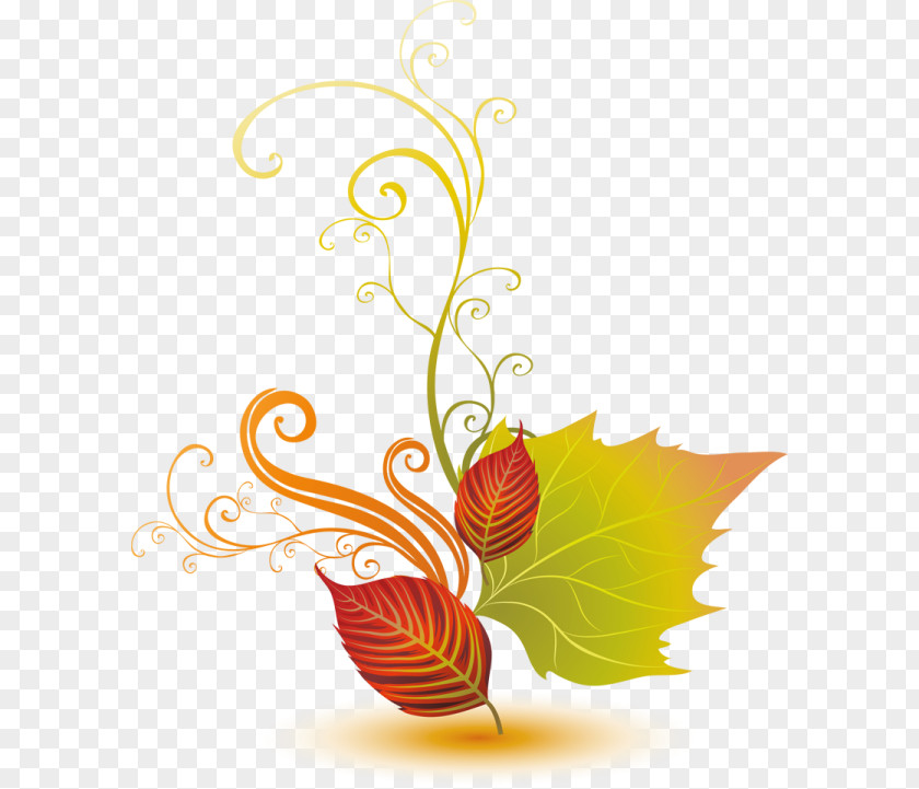 Autumn Leaf Clip Art PNG