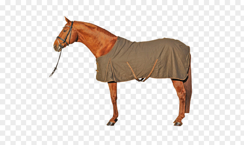 Horse Blanket Equestrian Tack PNG