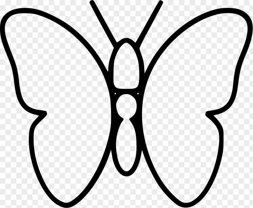 Julia Butterfly Illustration PNG