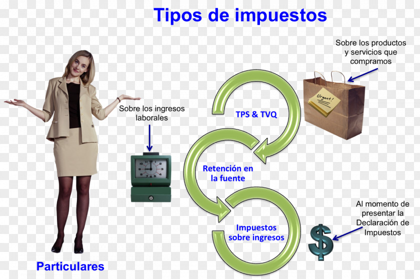 Tipos De Peixes Taxation In Canada Internal Revenue Service Of Chile Tax Preparation Refund PNG