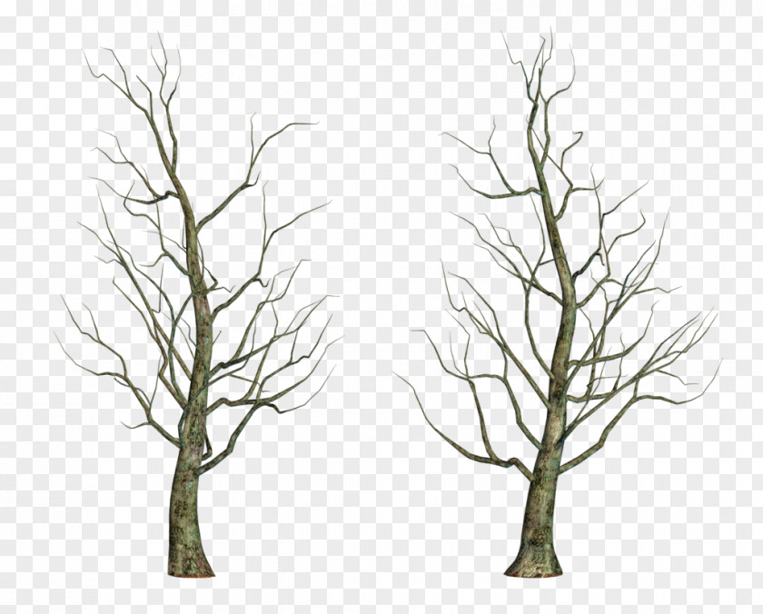 Winter Trees Tree Drawing Clip Art PNG
