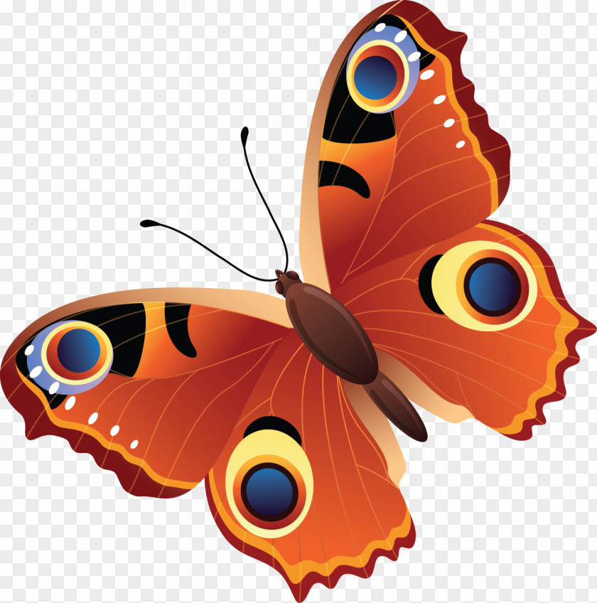 Butterfly Drawing Photography Visual Arts PNG