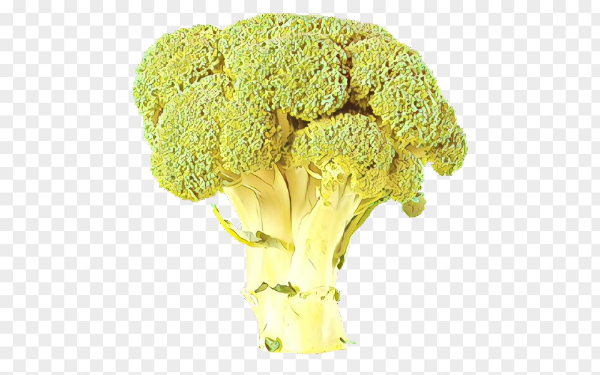 Cabbage Wild Vegetables Cartoon PNG