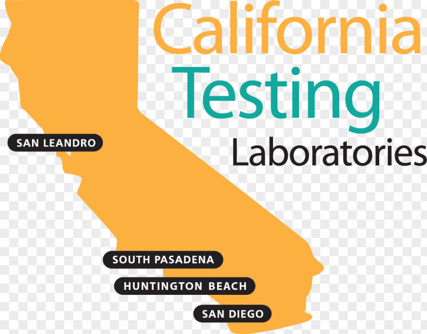 Canned Vegetables LA Testing California Tenant's Rights Information Research Business PNG