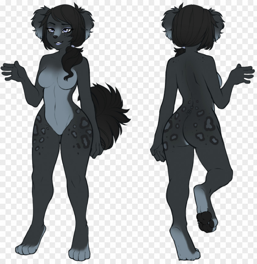 Puppy Border Collie Rough Feral PNG