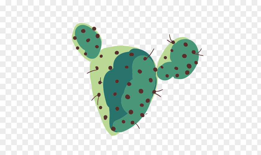 Cactus Green Cactaceae PNG