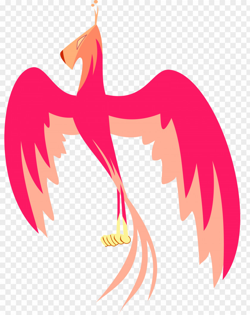 Chicken Clip Art Illustration Beak Bird PNG