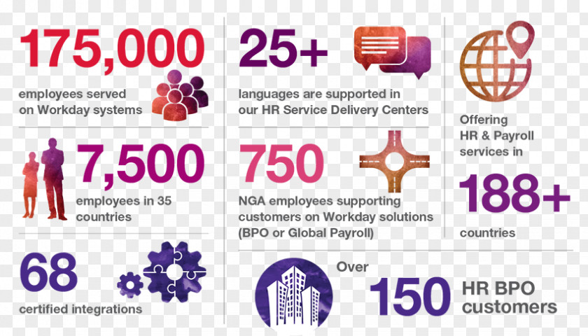 Infographic Number Human Resource Management System Payroll Business PNG