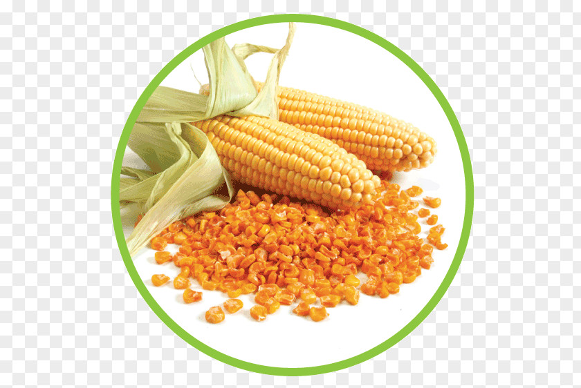 Packaged Corn On The Cob Food Maize Sweet Individual Quick Freezing PNG