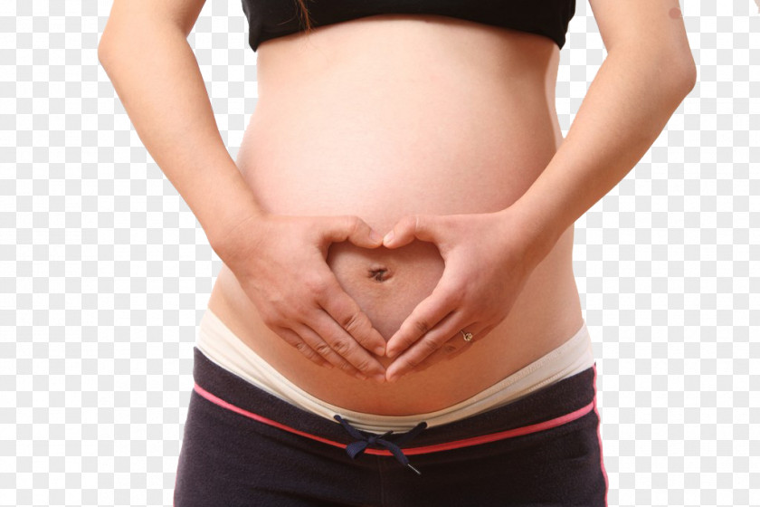 Pregnant Woman,belly,pregnancy,Mother,Pregnant Mother Woman Menstruation Pregnancy U5b55u5987 PNG