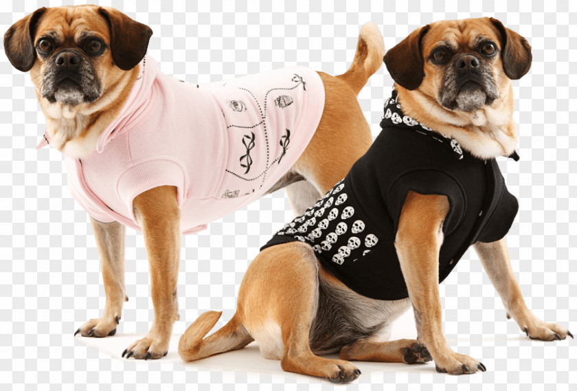 Puppy Puggle Dogs Refuge Home Dog Breed PNG