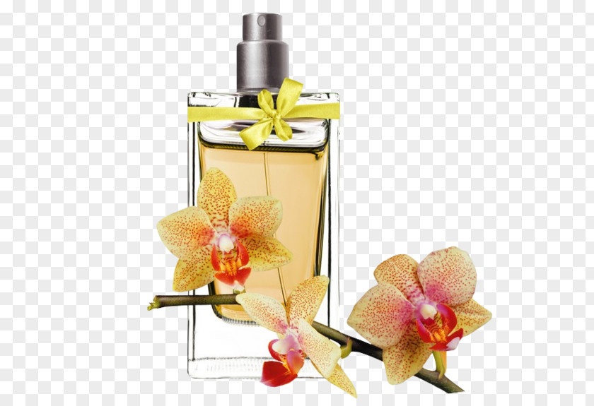 Perfume Cosmetics Flacon Rosemary Lipstick PNG