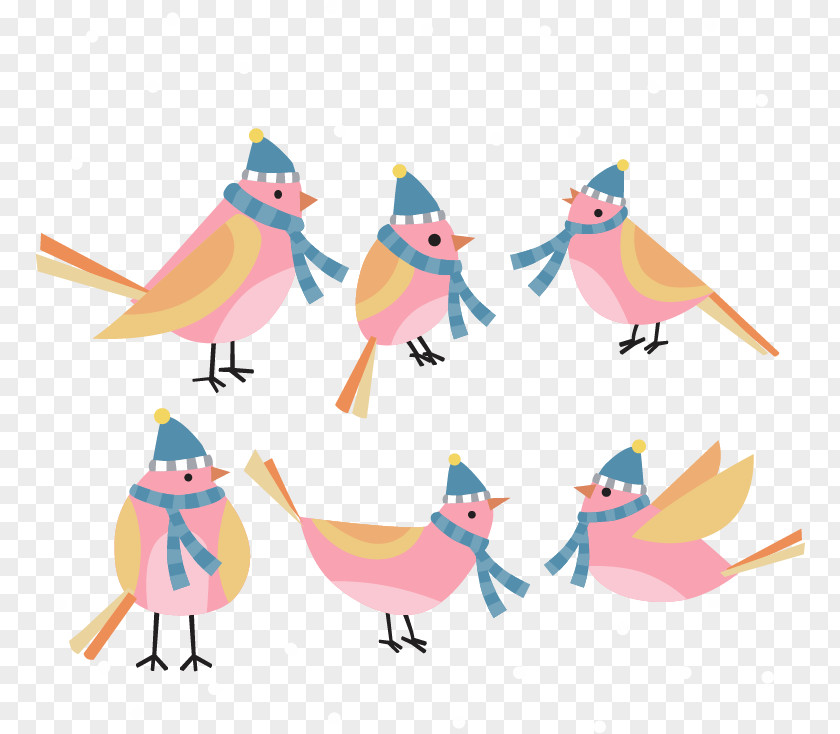 6 Pink Winter Birds Bird Beak Clip Art PNG