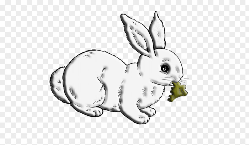 Cartoon White Rabbit Food Domestic Hare European PNG