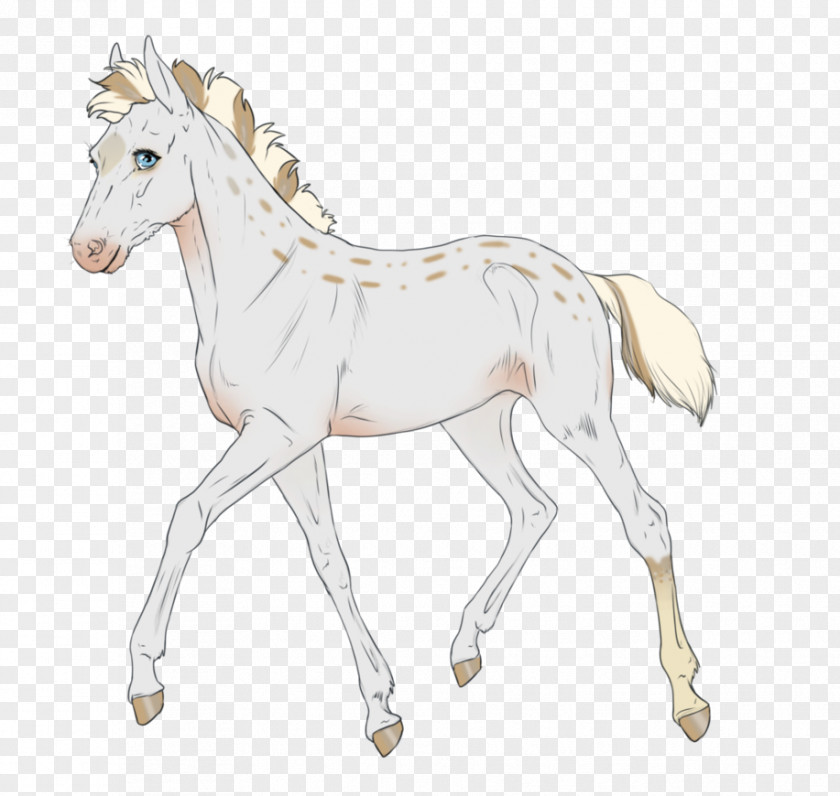 Equine Coat Color Mule Foal Stallion Mare Bridle PNG