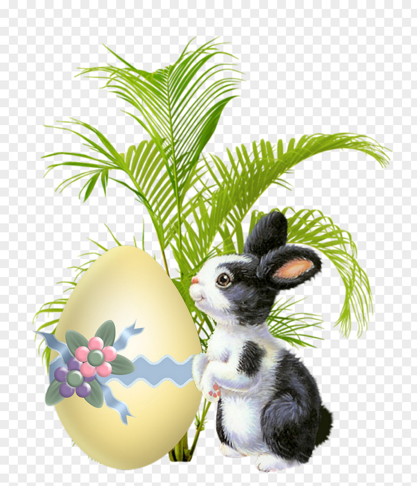 Rabbits And Hares Easter Bunny Background PNG