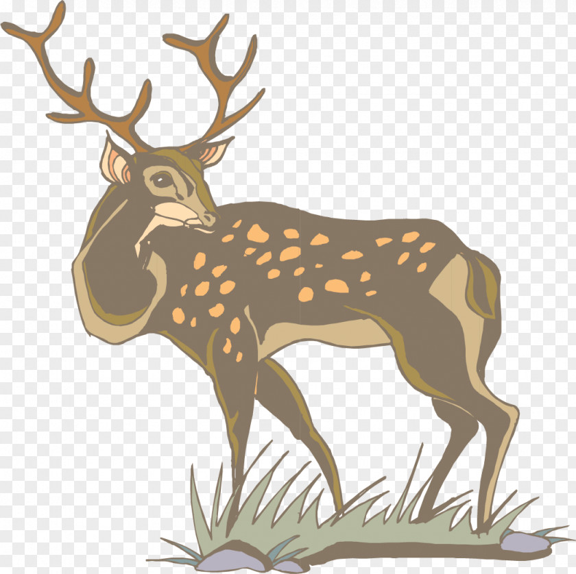 Vector Painted Deer Back White-tailed Antler Clip Art PNG