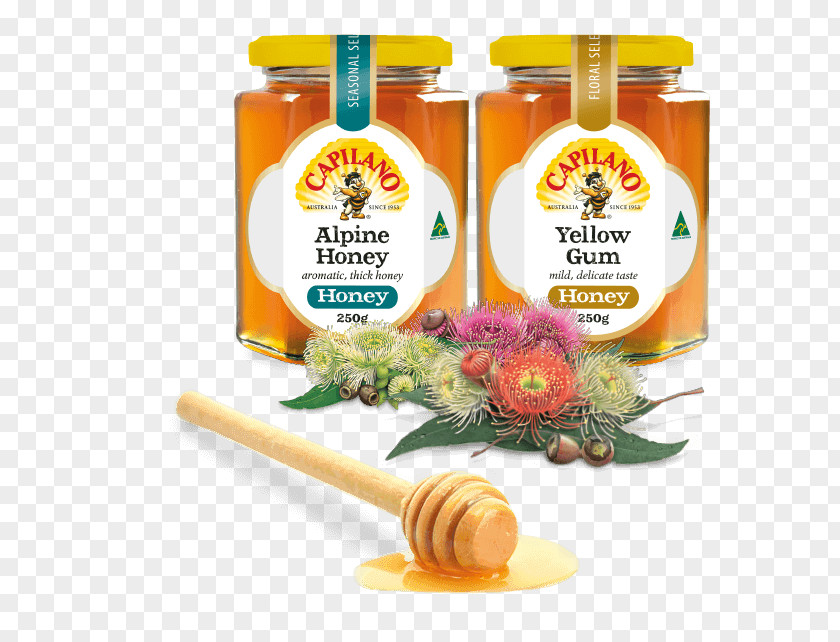 Bees Gather Honey Flavor Natural Foods Condiment PNG