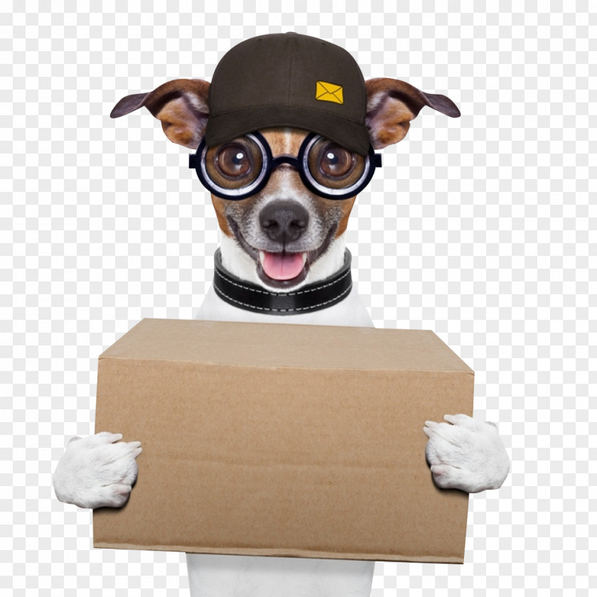 Deliveryman Wang Star Dog Food Delivery Pet Cat PNG