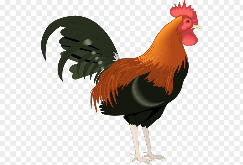 Free Farm Animal Clipart Rooster Chicken Clip Art PNG