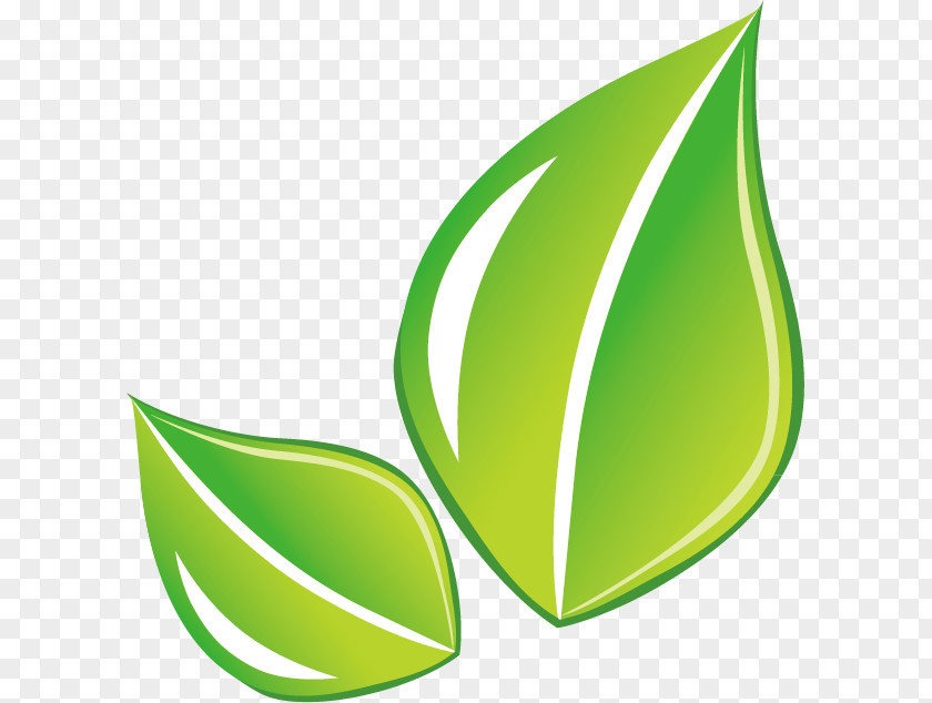 Green Leaves Vector Material Leaf PNG