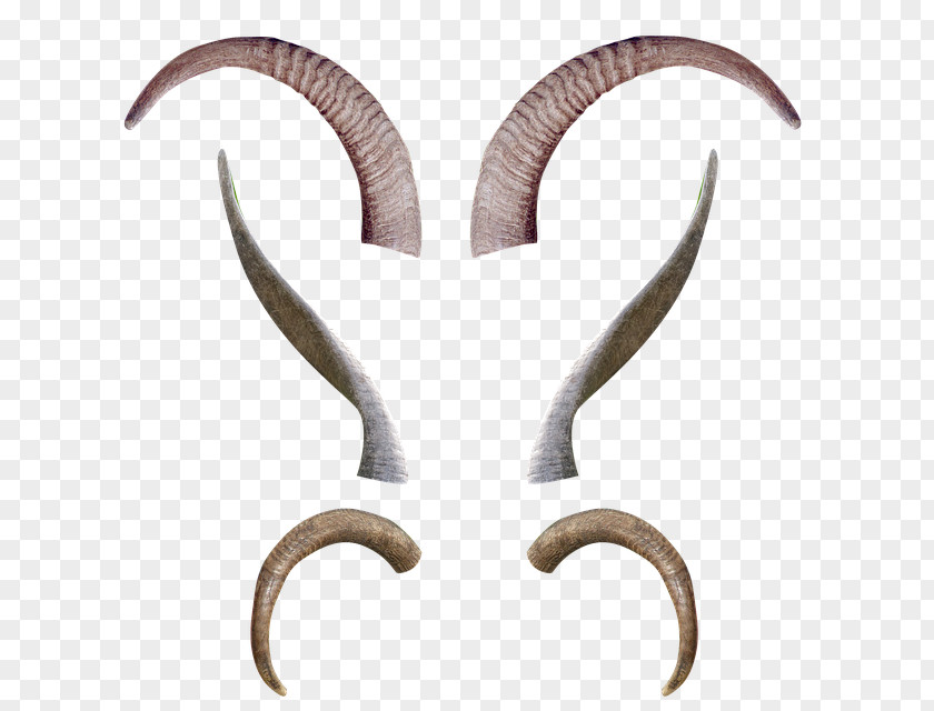 Horns PNG horns clipart PNG