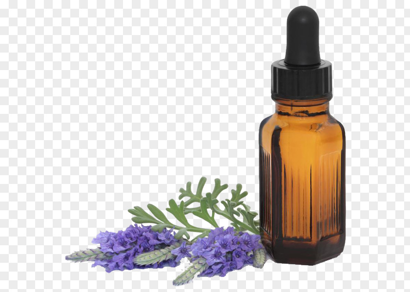 Oil Essential Aromatherapy Lavender PNG