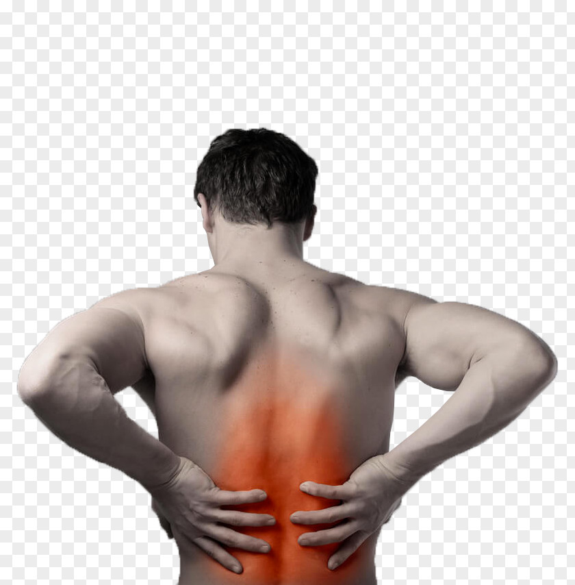 Back Pain Low Neck Physical Therapy PNG