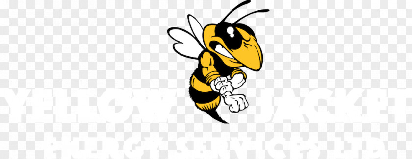 Bee Honey Hornet Wasp Clip Art PNG